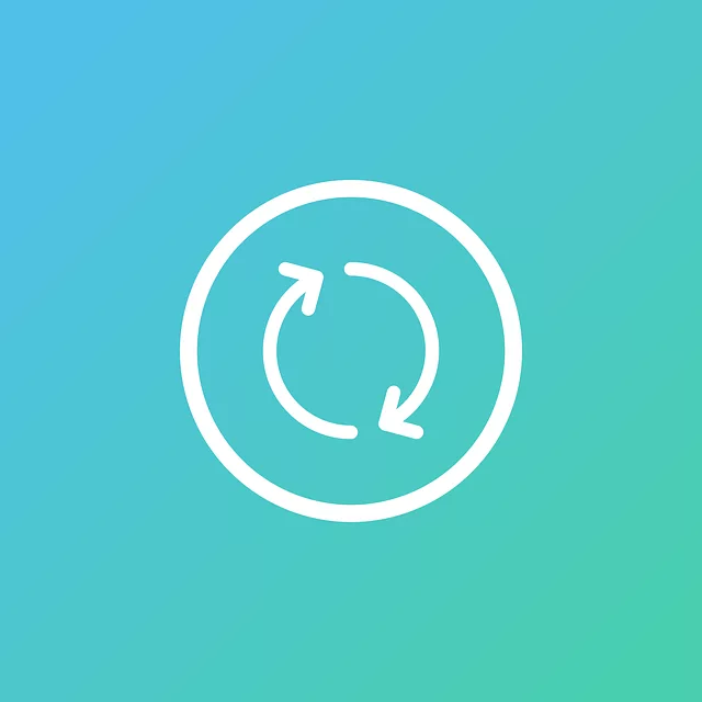 Video, viseo player, divx