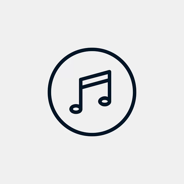 Video, viseo player, divx
