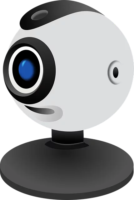 video-viseo-player-divx-640x480-94787117.png