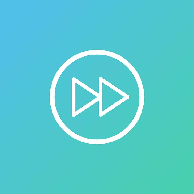 video-viseo-player-divx-640x480-72839238.png